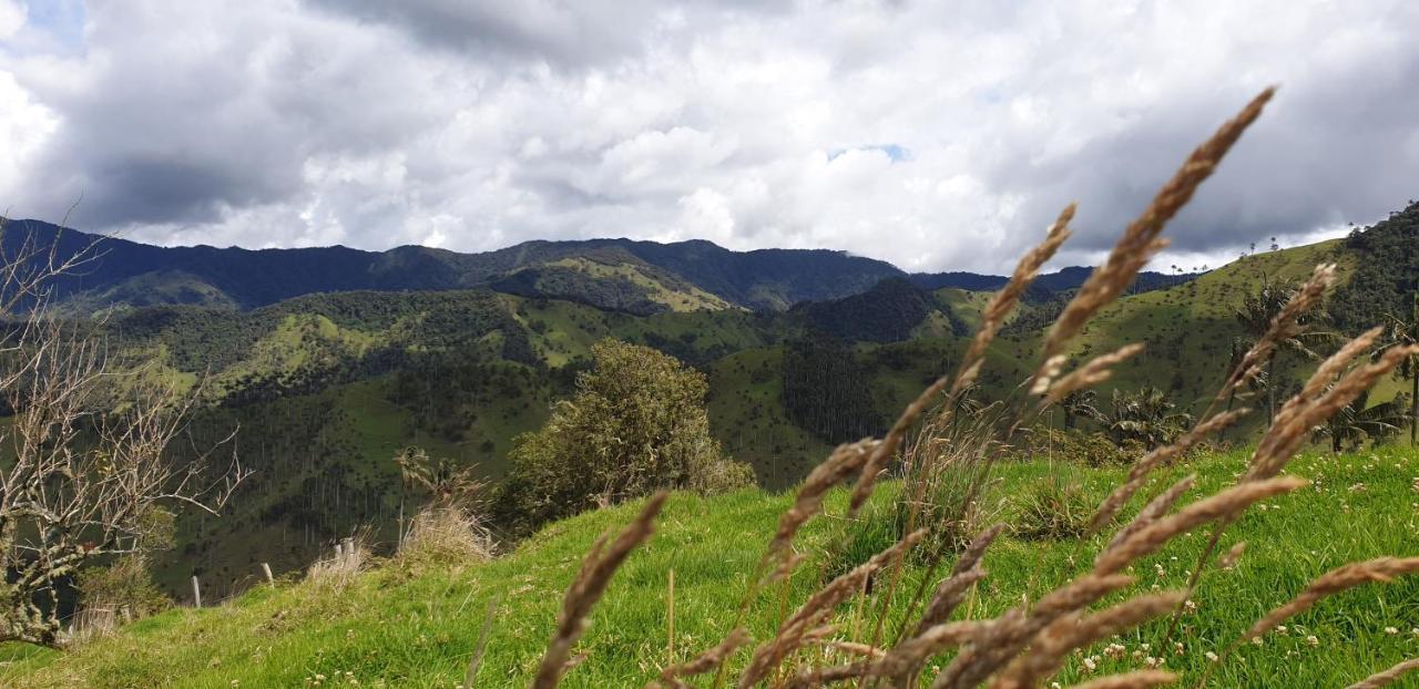Posada Martha Tolima Salento Eksteriør billede